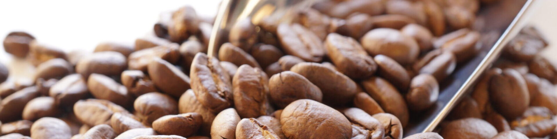 喫茶&スナックサルビア,山形県米沢市中央3-10-45,うこぎ,上杉鷹山,珈琲,米沢牛,すき焼き